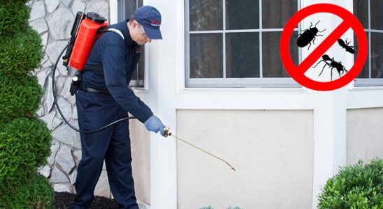 Atakum Gümüşkurt İlaçlama böcek ilaçlama ve haşere kontrolü — ilaclama-tr.com